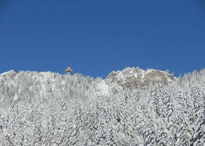 아파트 App. Mountain View